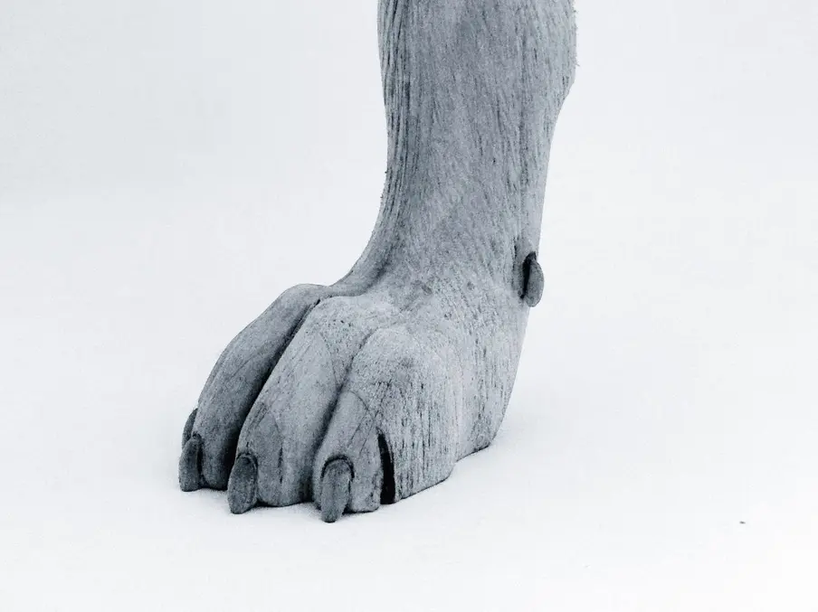 5 artistas colombianos reunidos en un solo espacio 12958nc_saul_sanchez