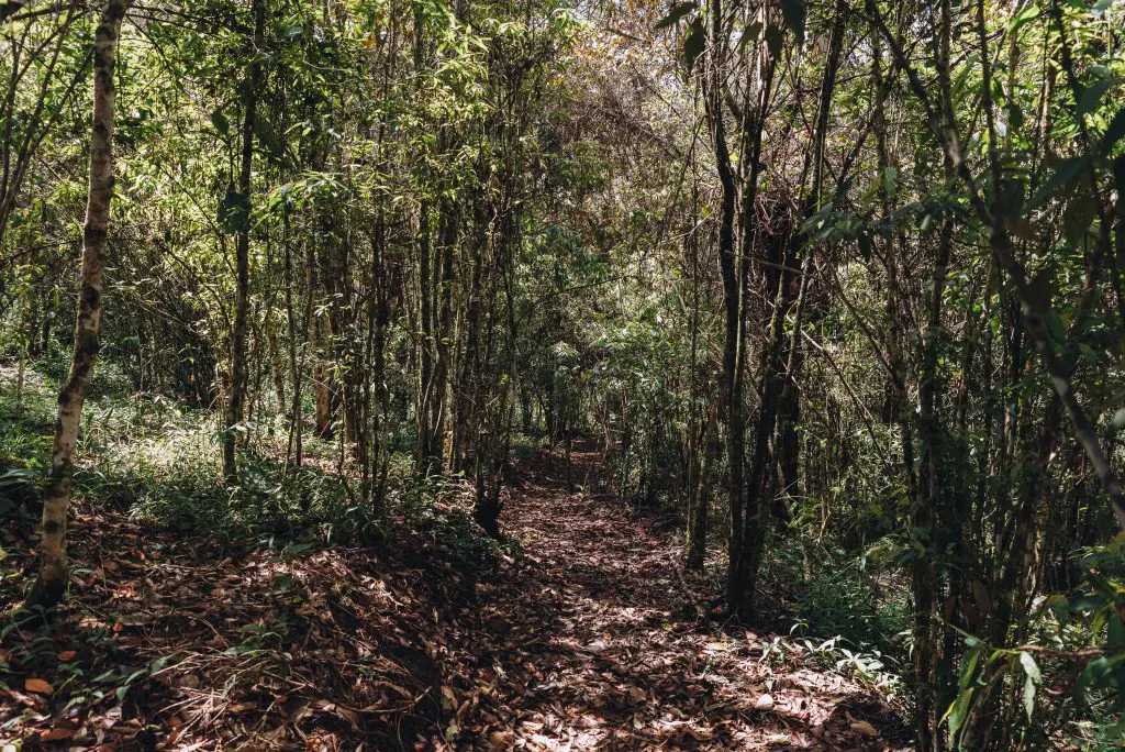 Monte sereno, un proyecto residencial campestre que reúne la armonía entre el hombre y la naturaleza