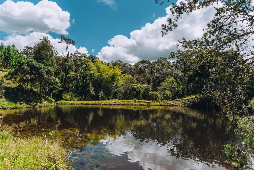 Monte sereno, un proyecto residencial campestre que reúne la armonía entre el hombre y la naturaleza