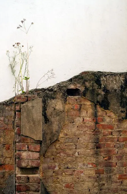 5 artistas colombianos reunidos en un solo espacio 22048nc_miler_lagos