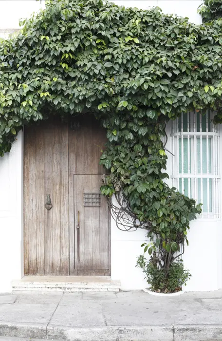 Arquitectura colonial contemporánea en esta casa del centro histórico de cartagena