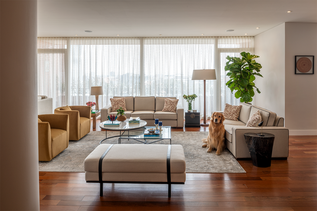 Nueva edición axxis