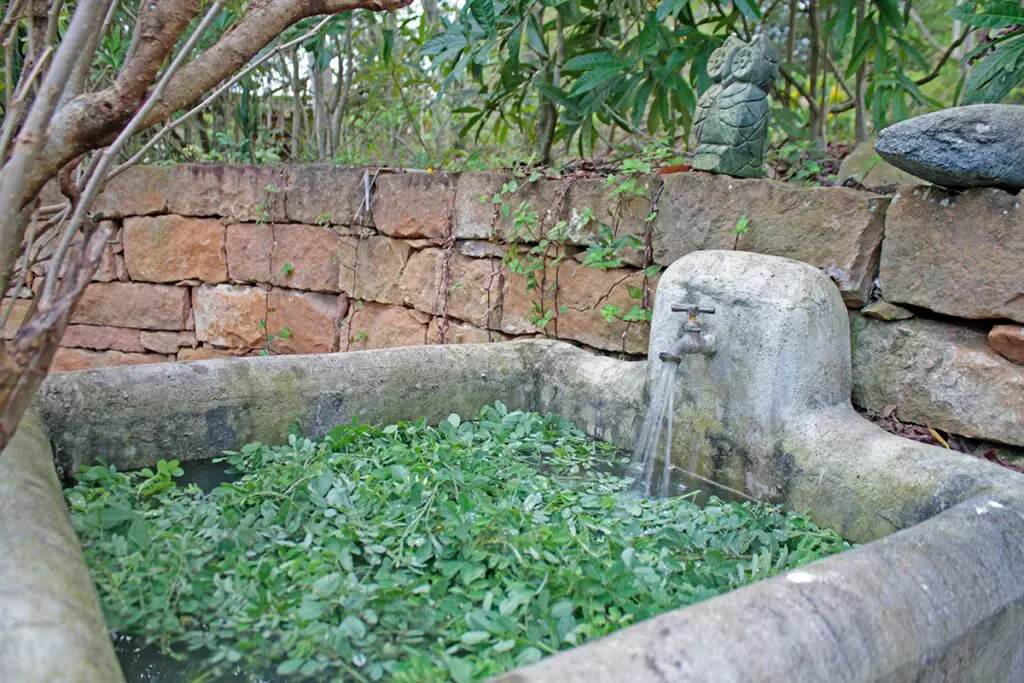 Azul barichara, la historia de un color ancestral rescatado por una arquitecta