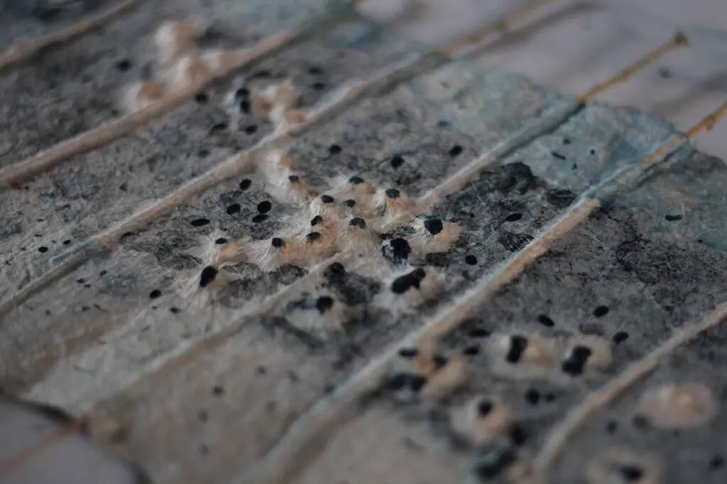 Azul barichara, la historia de un color ancestral rescatado por una arquitecta