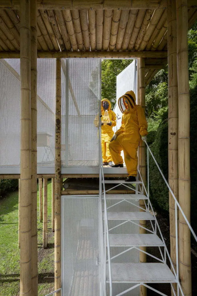 Palafito arquitectura, más preguntas, más caminos