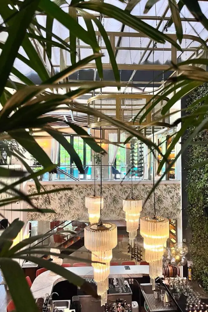 El diseñador barranquillero especializado papel colgadura Diseñador papel colgadura de papelillo & armonía