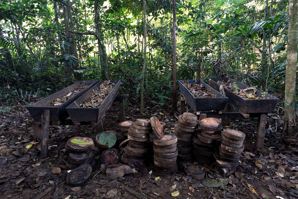La casa en la que las mujeres indígenas del putumayo gestan la paz