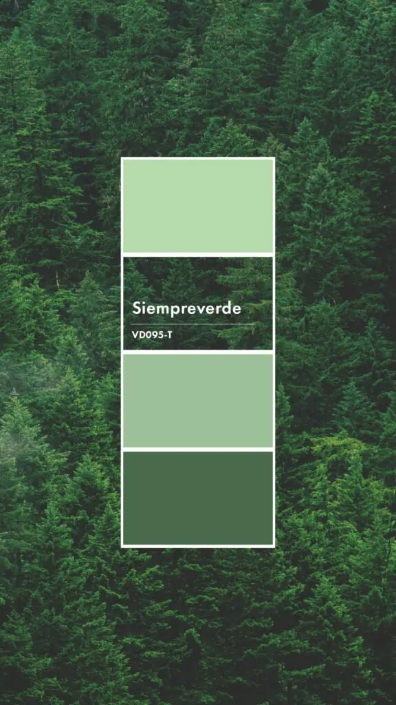 Una marca de pinturas colombiana amigable con el medio ambiente