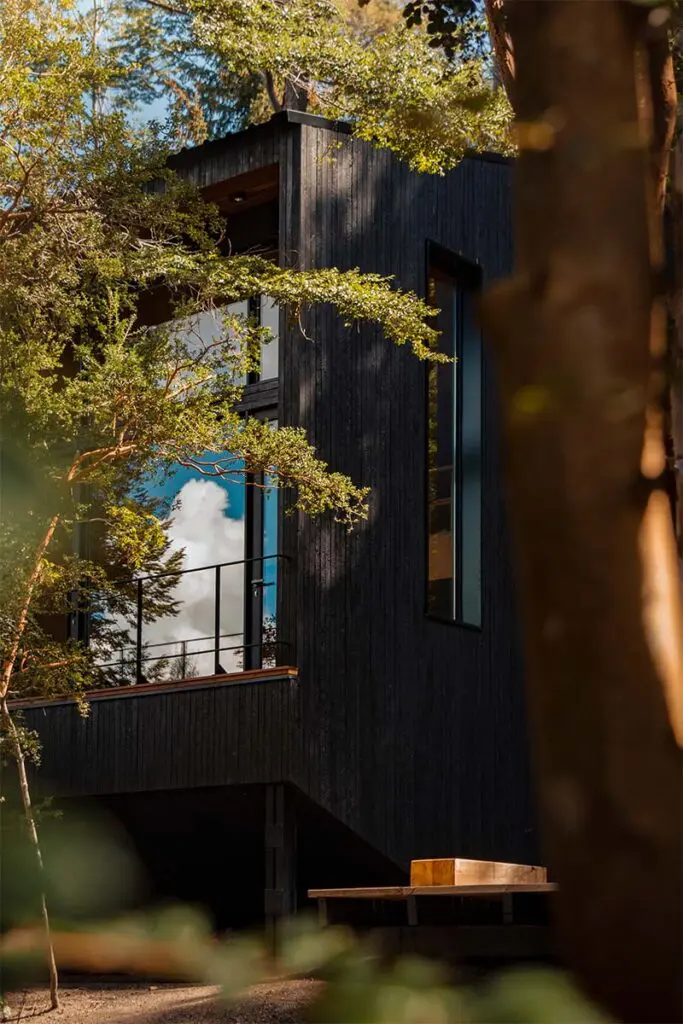 Vivir en el bosque argentino: estas cabañas son íntimas y sensoriales