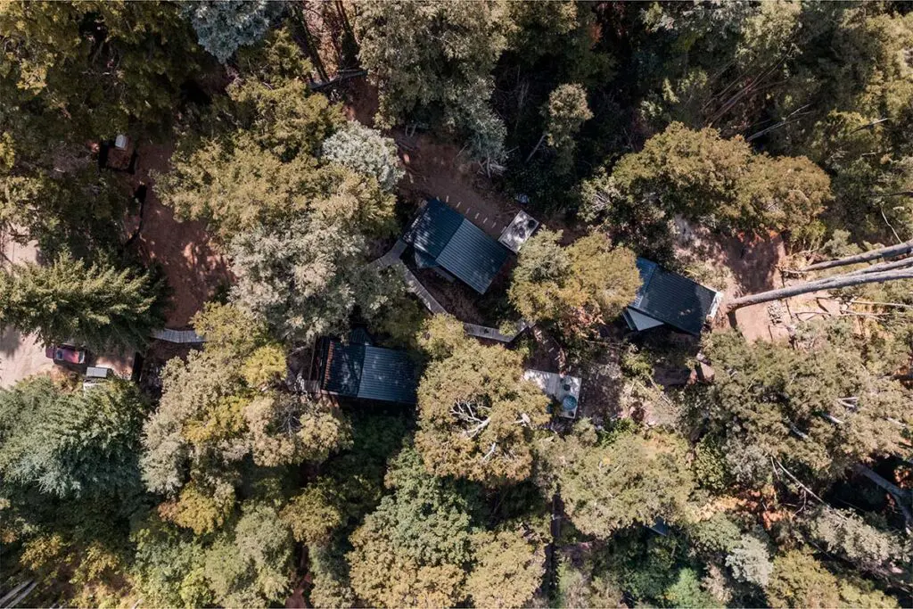 Vivir en el bosque argentino: estas cabañas son íntimas y sensoriales
