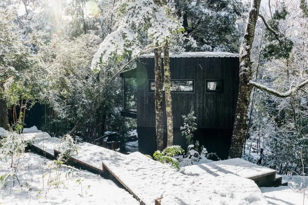 Vivir en el bosque argentino: estas cabañas son íntimas y sensoriales