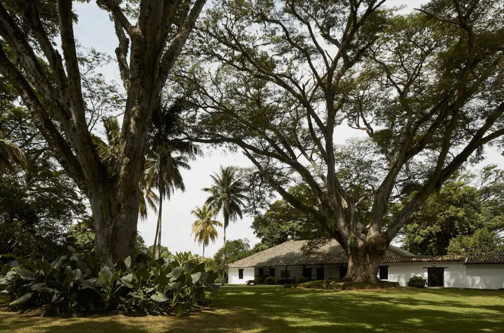 Historia y tradición en esta casa de andalucía, valle del cauca de 1711 Historia y tradición en esta casa de andalucía, valle del cauca de 1711