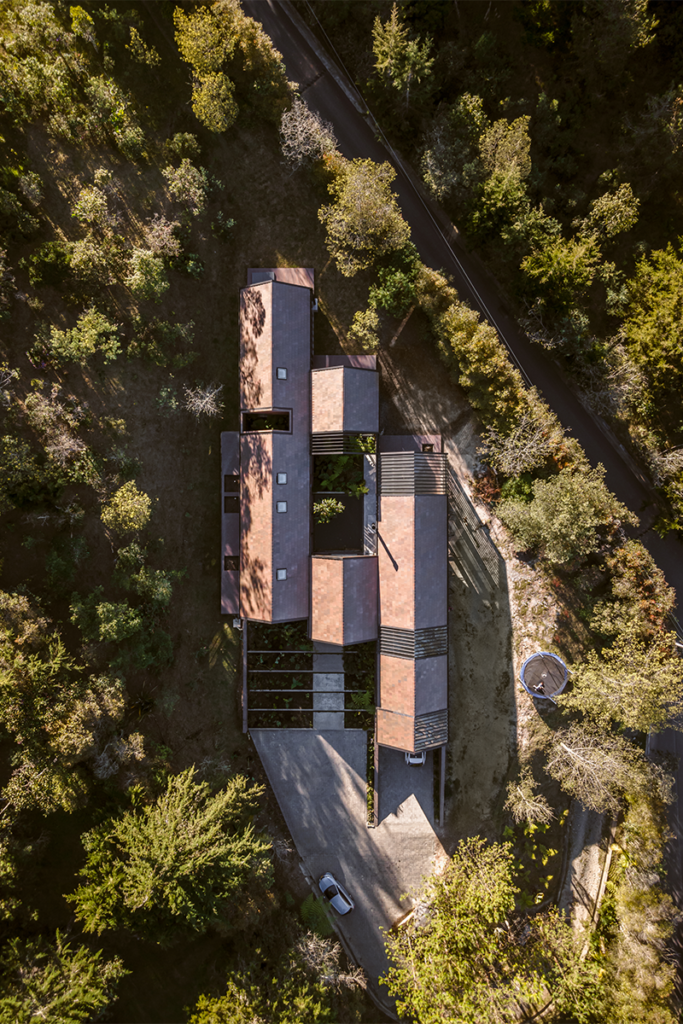 Una casa en antioquia con una espacialidad para adentrarse en el bosque
