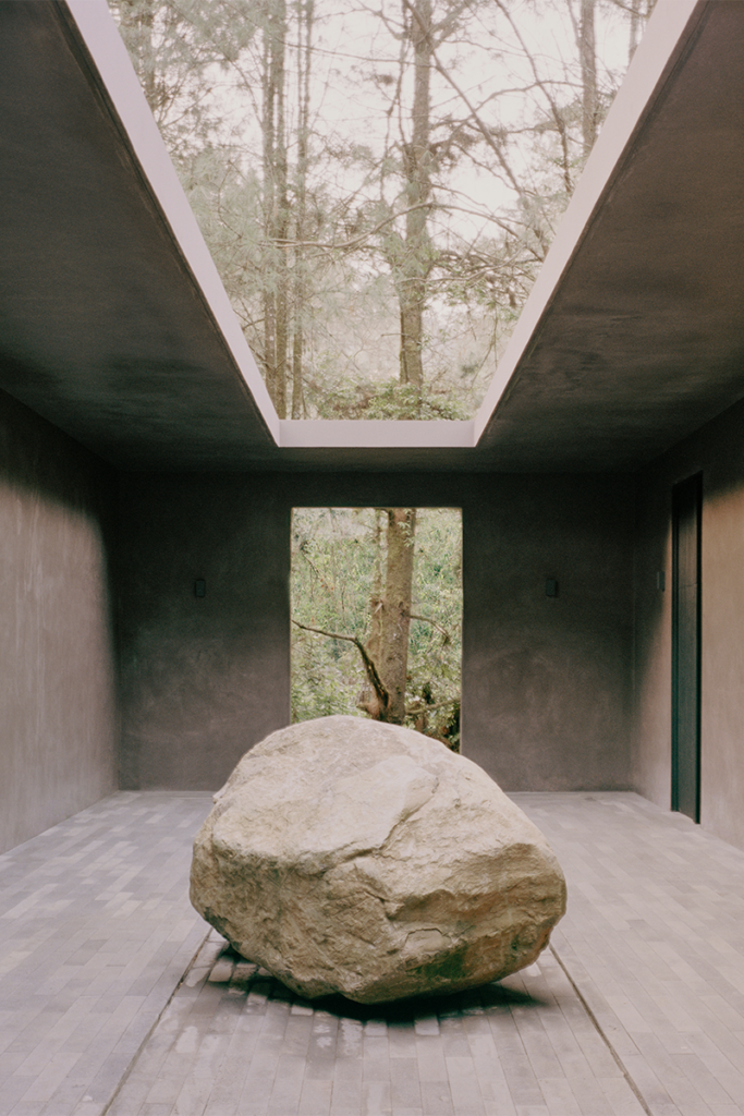 Una casa escondida en medio del bosque en ciudad de méxico 