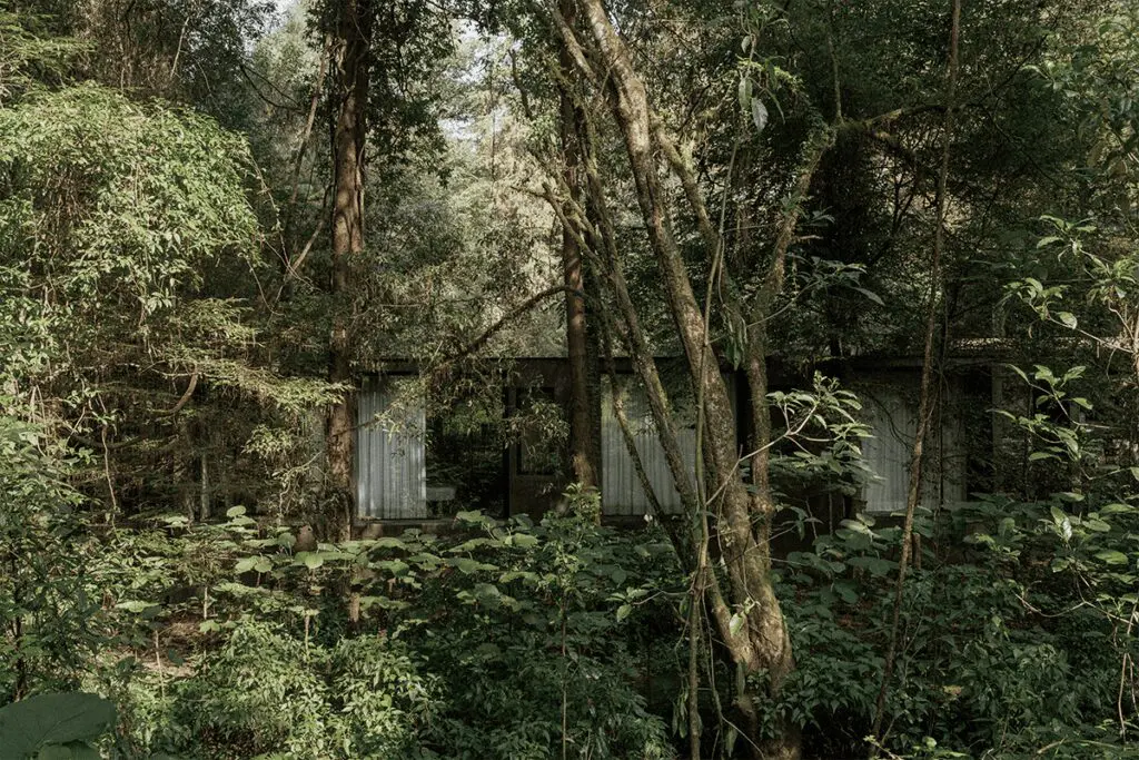Una casa escondida en medio del bosque en ciudad de méxico Una casa escondida en medio del bosque en ciudad de méxico
