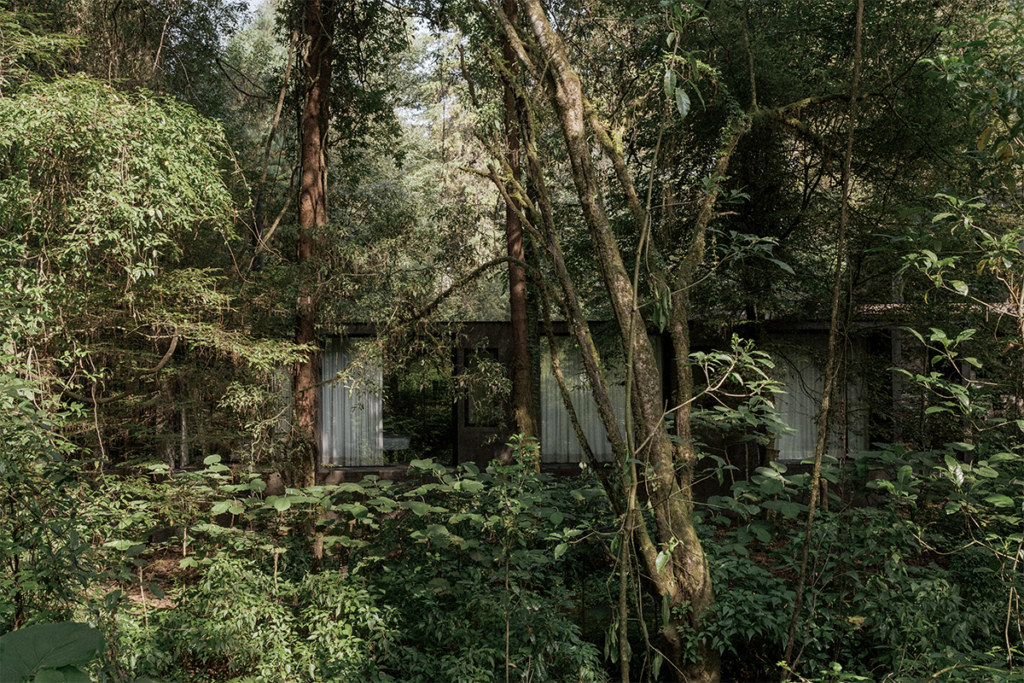 Una casa escondida en medio del bosque en ciudad de méxico 