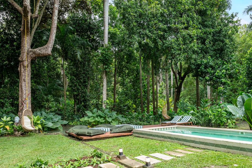 La memoria de una casa ubicada en el bosque seco tropical de cartagena