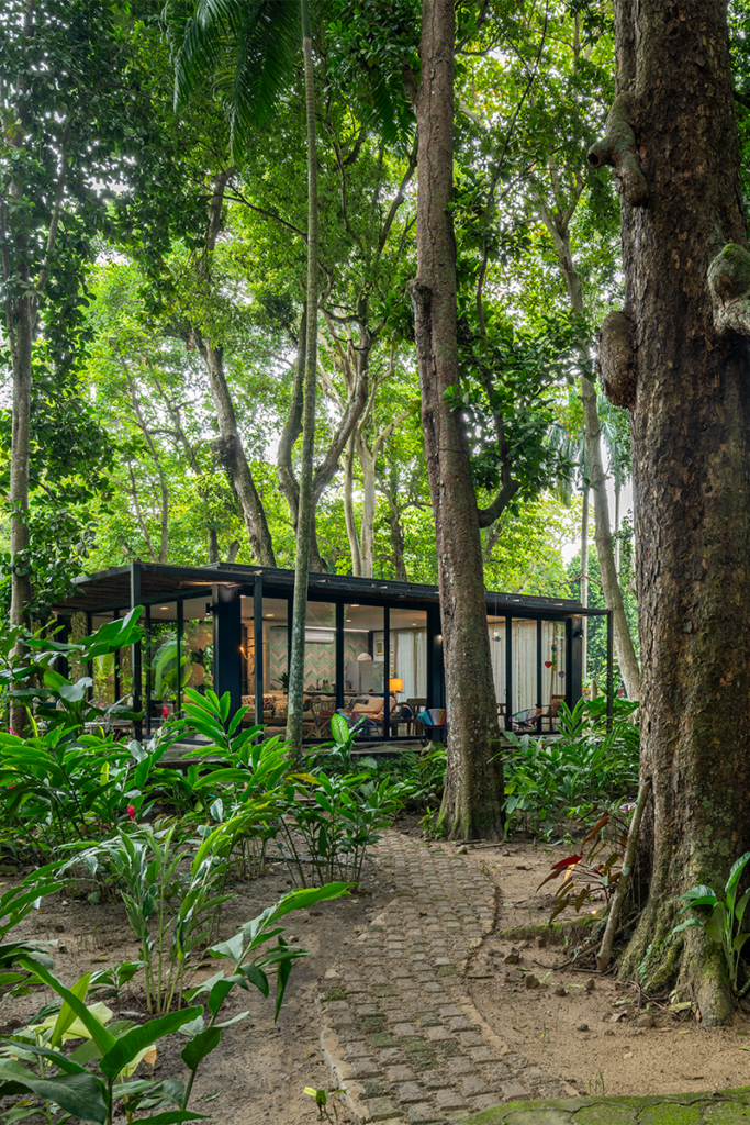 La memoria de una casa ubicada en el bosque seco tropical de cartagena