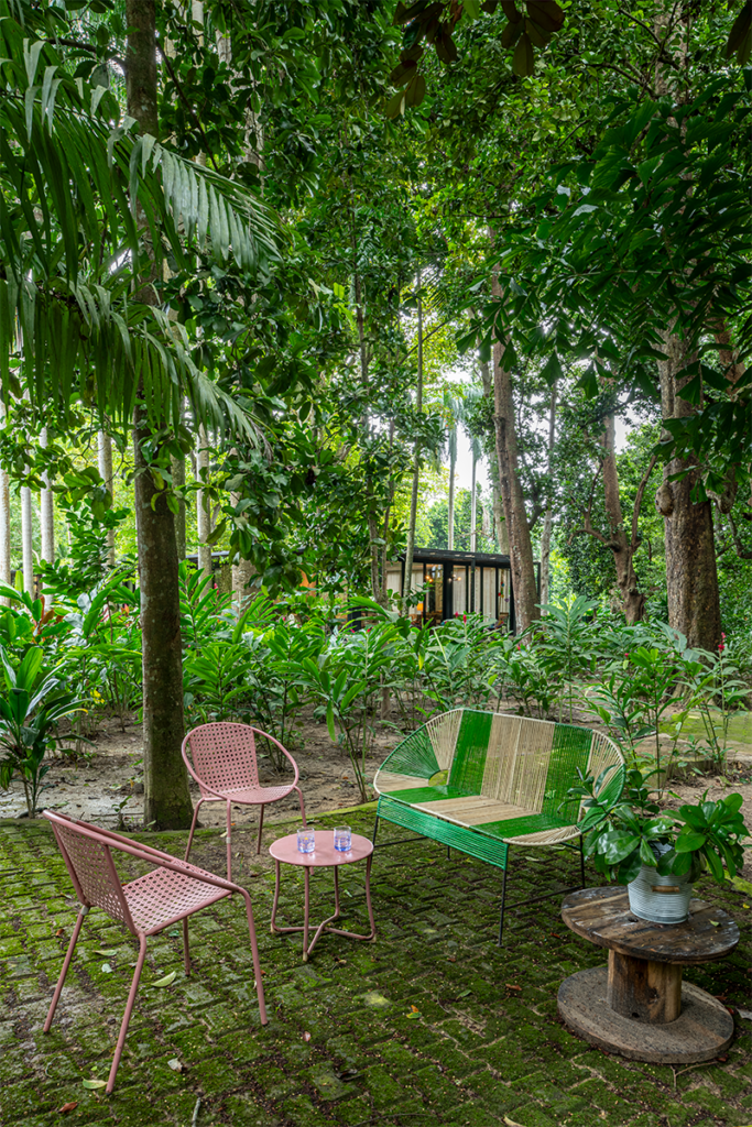 La memoria de una casa ubicada en el bosque seco tropical de cartagena