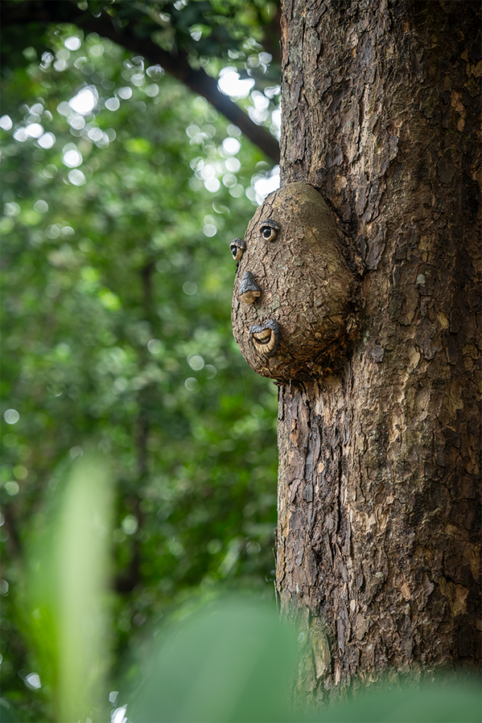 La memoria de una casa ubicada en el bosque seco tropical de cartagena