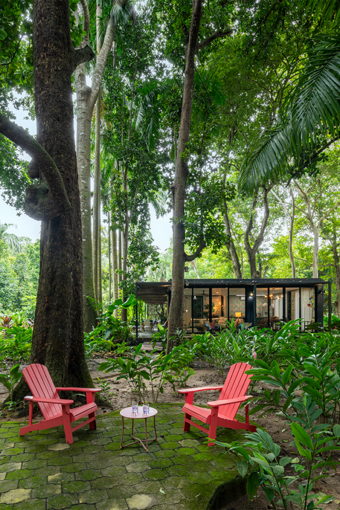 La memoria de una casa ubicada en el bosque seco tropical de cartagena