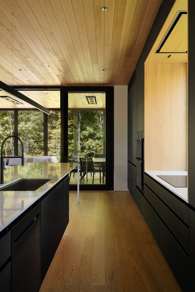 La arquitectura de esta casa entabla un diálogo entre el lago y el bosque 