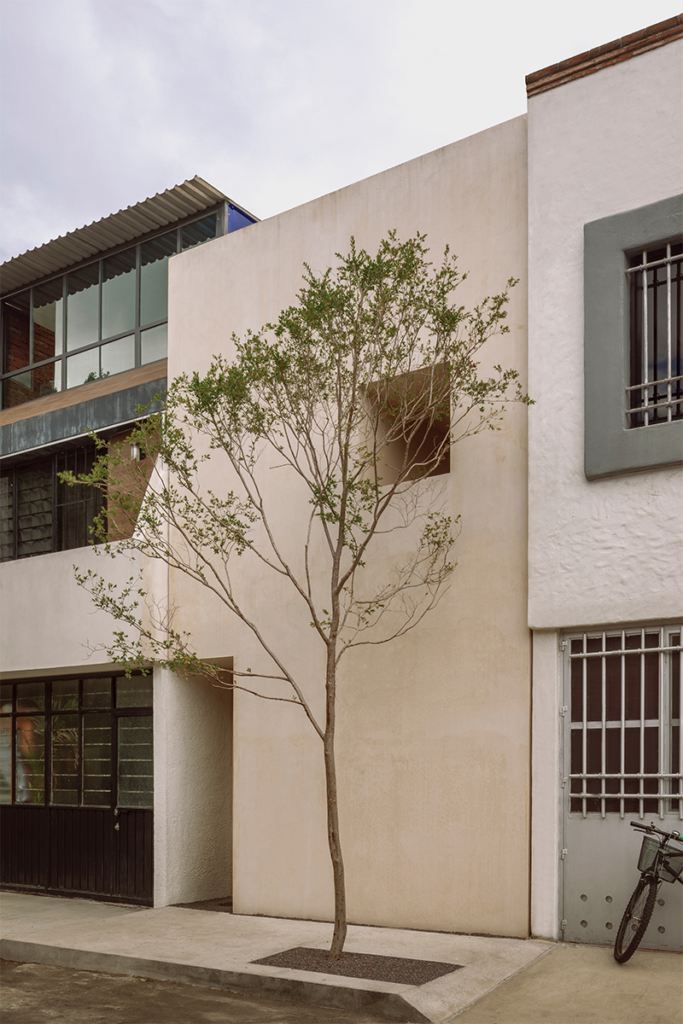La luz y la madera son un lenguaje de emociones en el diseño de esta casa en méxico
