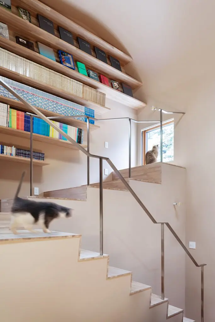 Arquitectura para gatos: así es una casa en japón hecha para las mascotas del dueño