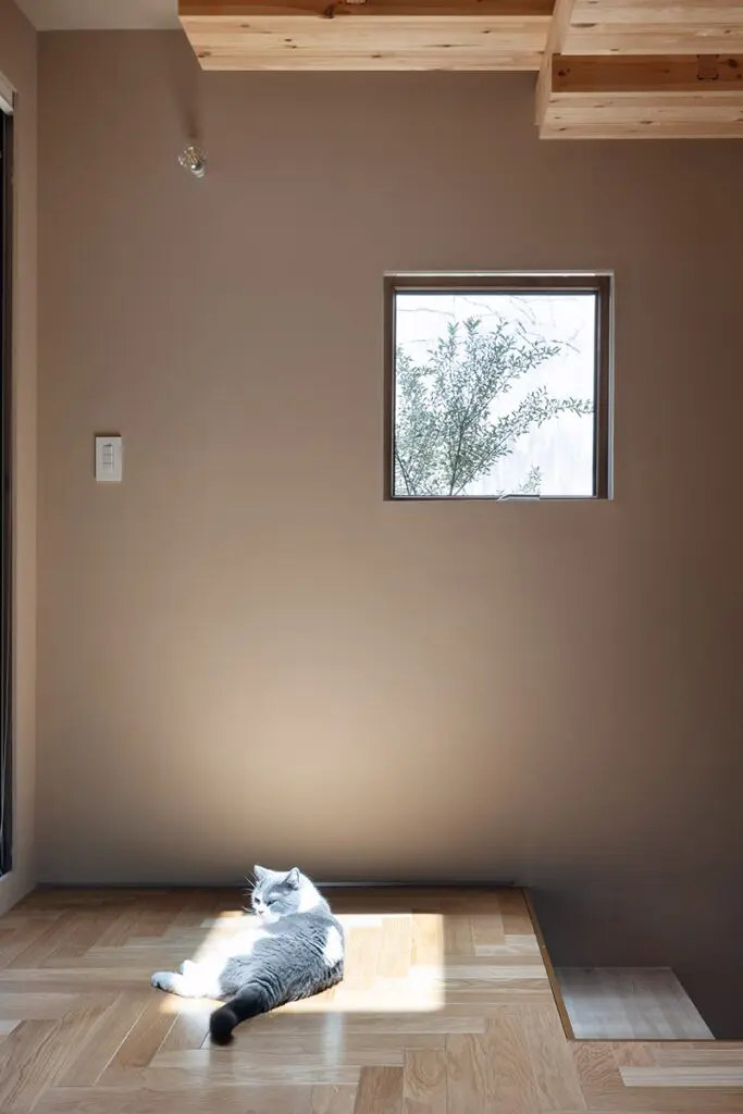 Arquitectura para gatos: así es una casa en japón hecha para las mascotas del dueño
