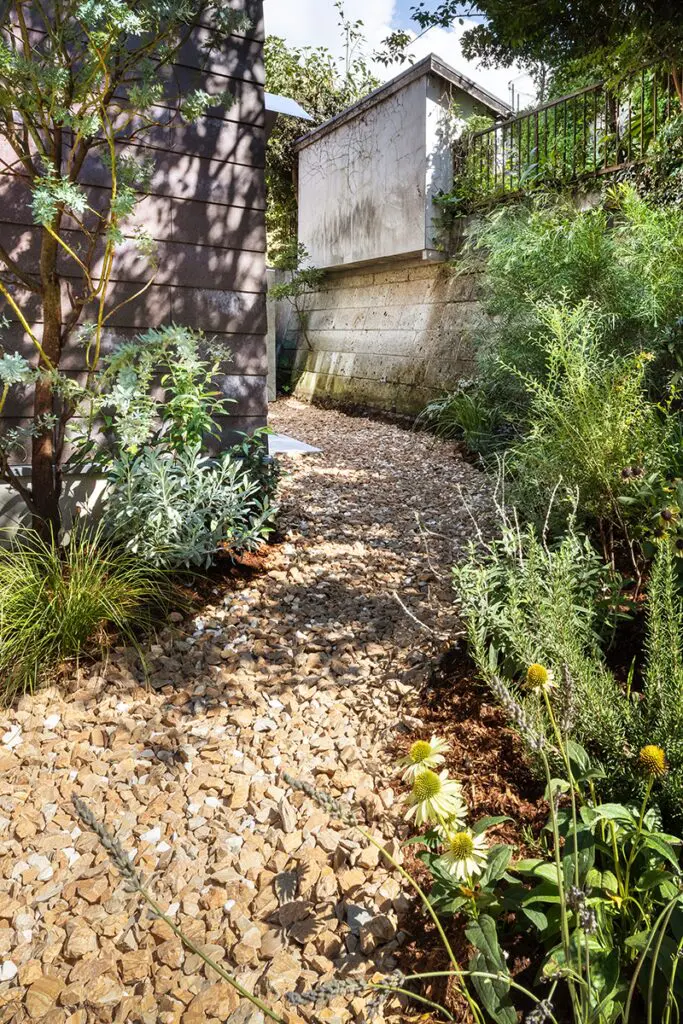 Arquitectura para gatos: así es una casa en japón hecha para las mascotas del dueño