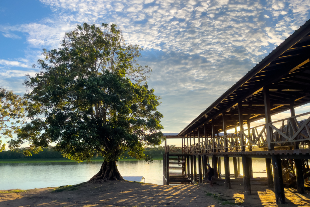 Esta es la convocatoria cocrea 2023: una apuesta por la cultura