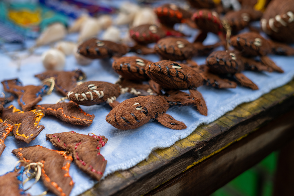 Diseño de esperanza: artesanías de palma en juanchaco, valle del cauca Diseño de esperanza: artesanías de palma en juanchaco, valle del cauca