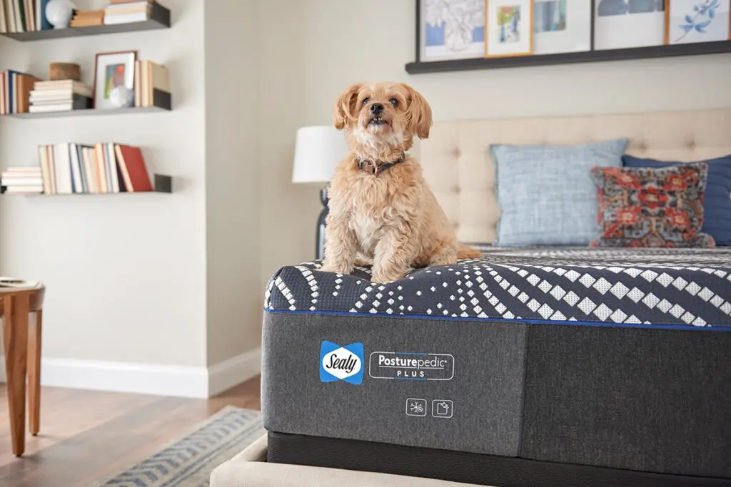 Más de un siglo definiendo el descanso moderno