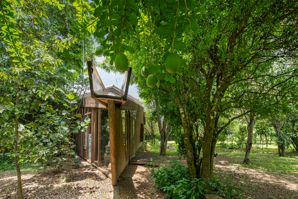 La arquitectura del colegio del cuerpo en cartagena tiene una conversación con la naturaleza La arquitectura del colegio del cuerpo en cartagena tiene una conversación con la naturaleza