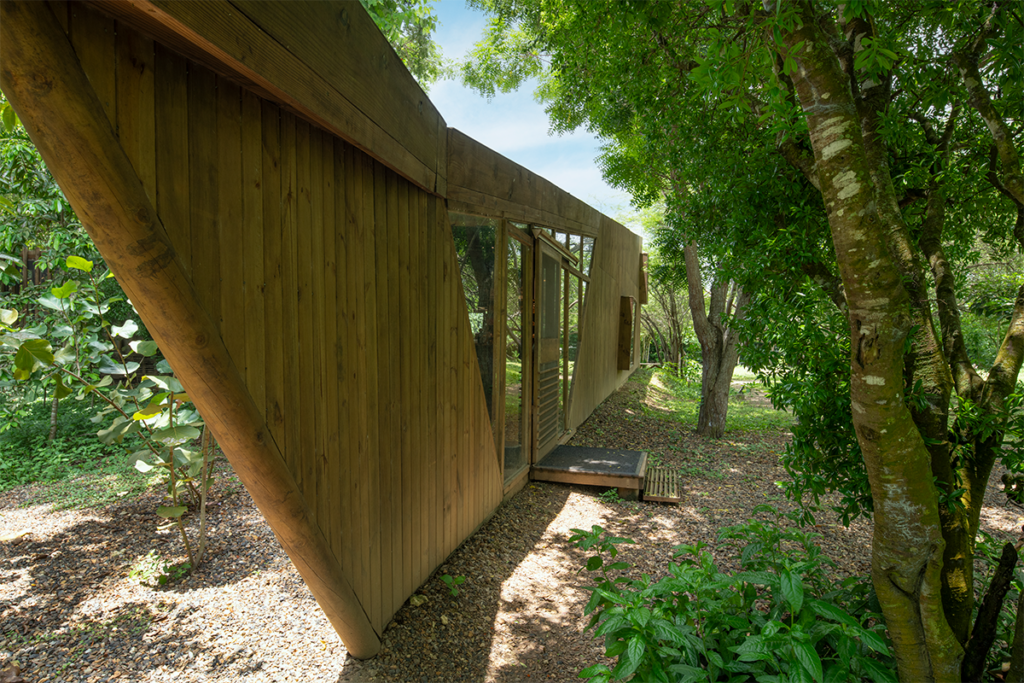La arquitectura del colegio del cuerpo en cartagena tiene una conversación con la naturaleza La arquitectura del colegio del cuerpo en cartagena tiene una conversación con la naturaleza