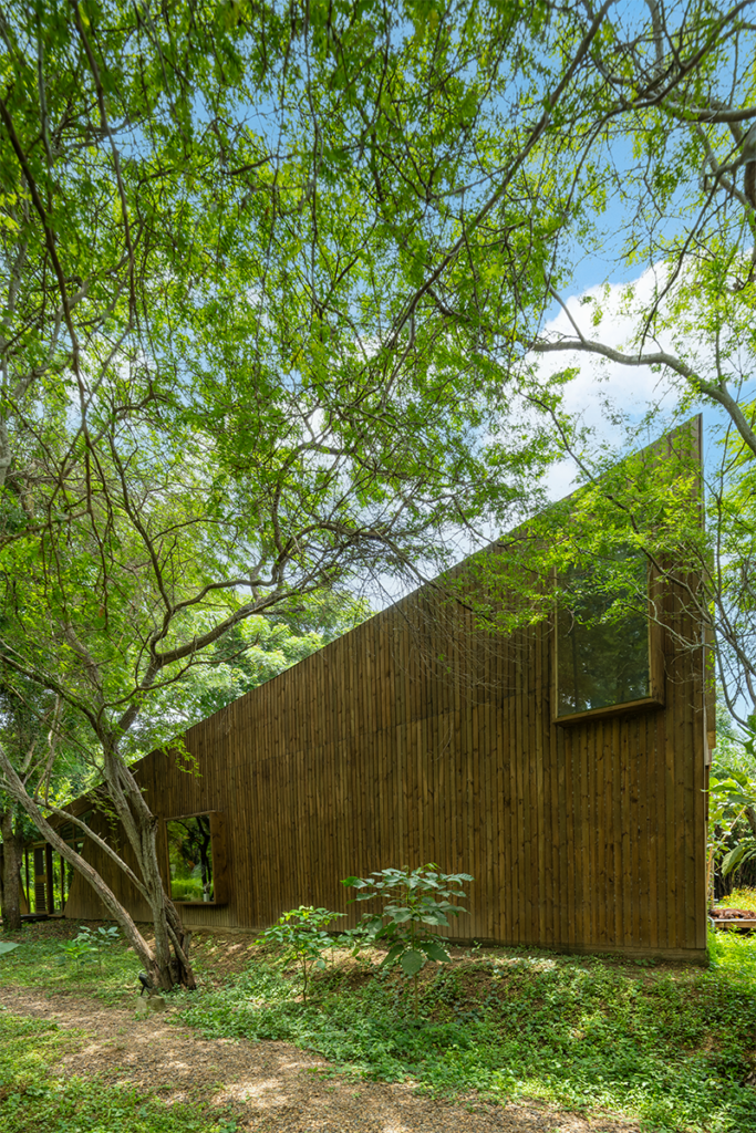 La arquitectura del colegio del cuerpo en cartagena tiene una conversación con la naturaleza La arquitectura del colegio del cuerpo en cartagena tiene una conversación con la naturaleza
