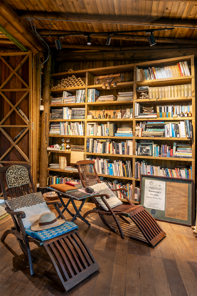 La arquitectura del colegio del cuerpo en cartagena tiene una conversación con la naturaleza La arquitectura del colegio del cuerpo en cartagena tiene una conversación con la naturaleza