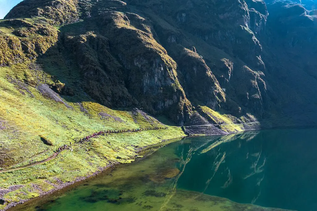 Cubrir las montañas con árboles: el propósito del biólogo reconocido por los premios rolex