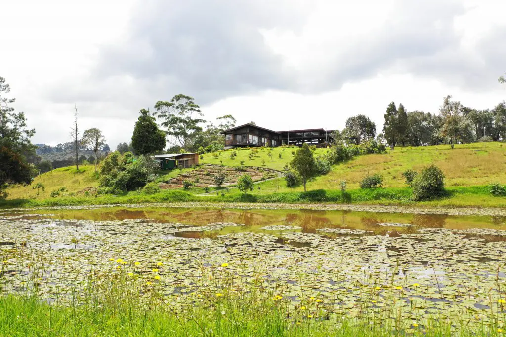 Monte sereno, un proyecto residencial campestre que reúne la armonía entre el hombre y la naturaleza
