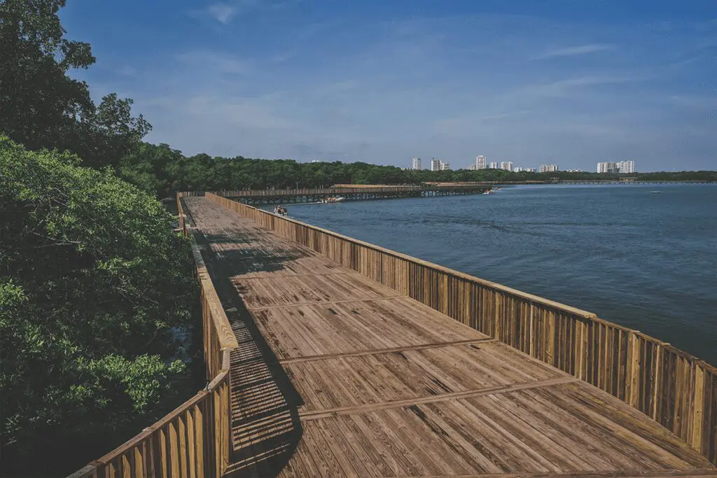 El ecoparque ciénaga de mallorquín en barranquilla es un lugar para el encuentro El ecoparque ciénaga de mallorquín en barranquilla es un lugar para el encuentro