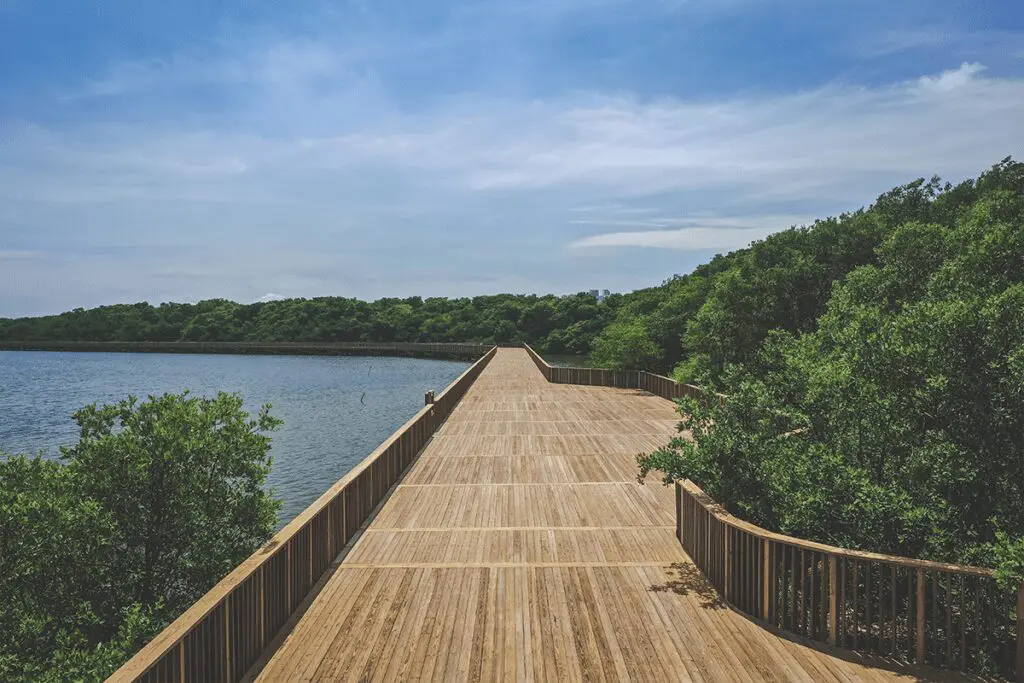 El ecoparque ciénaga de mallorquín en barranquilla es un lugar para el encuentro El ecoparque ciénaga de mallorquín en barranquilla es un lugar para el encuentro