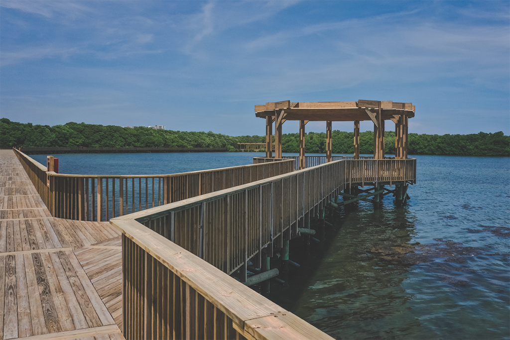 El ecoparque ciénaga de mallorquín en barranquilla es un lugar para el encuentro