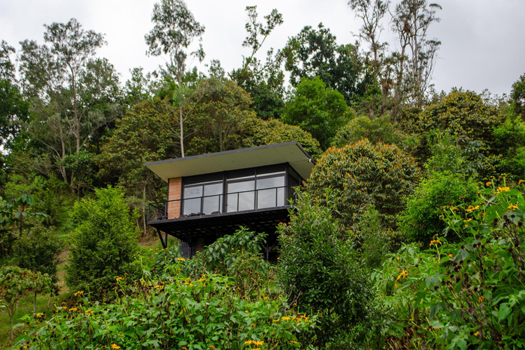 Piezas con un diseño innovador que mejoran la vida cotidiana
