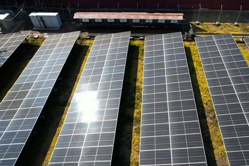 La estrategia sostenible de una compañía para asegurar un futuro más verde