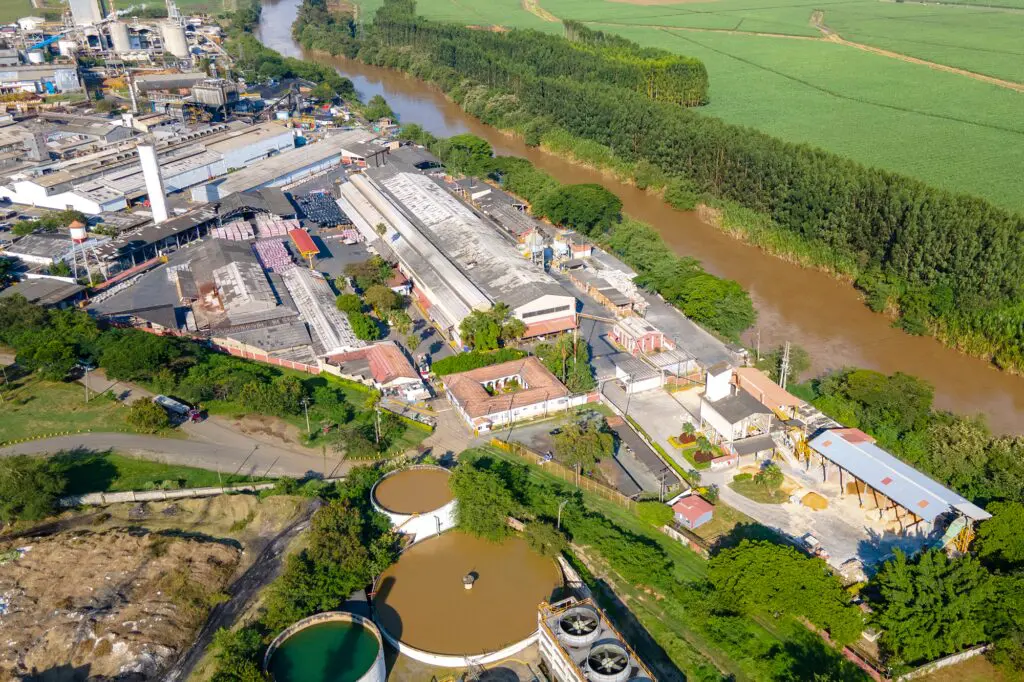 Crear con responsabilidad, la propuesta de esta marca