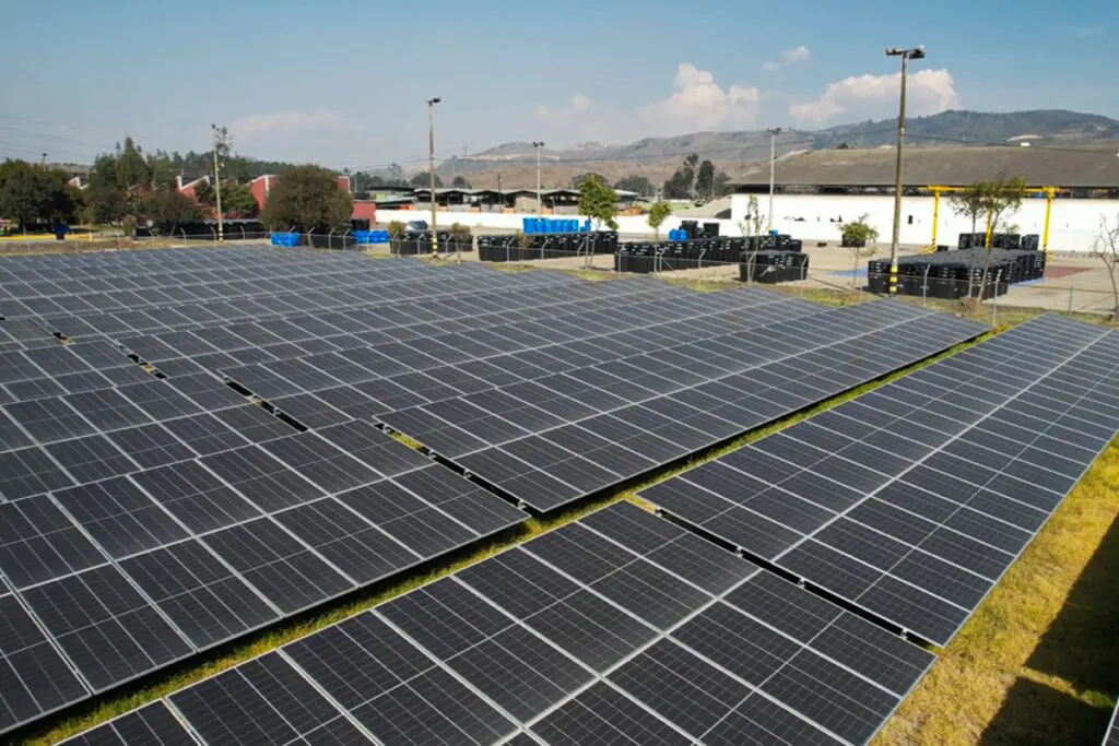 La estrategia sostenible de una compañía para asegurar un futuro más verde