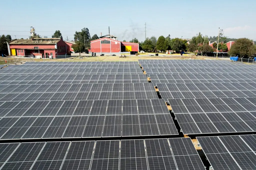 La estrategia sostenible de una compañía para asegurar un futuro más verde
