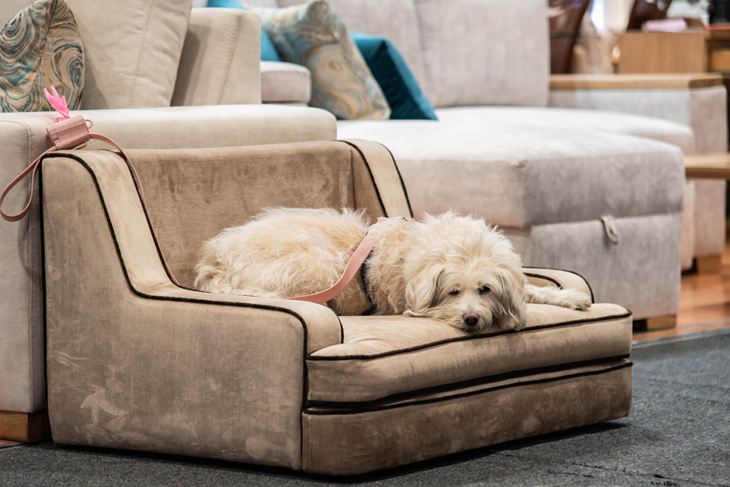 Diez diseños innovadores que simplifican el día a día