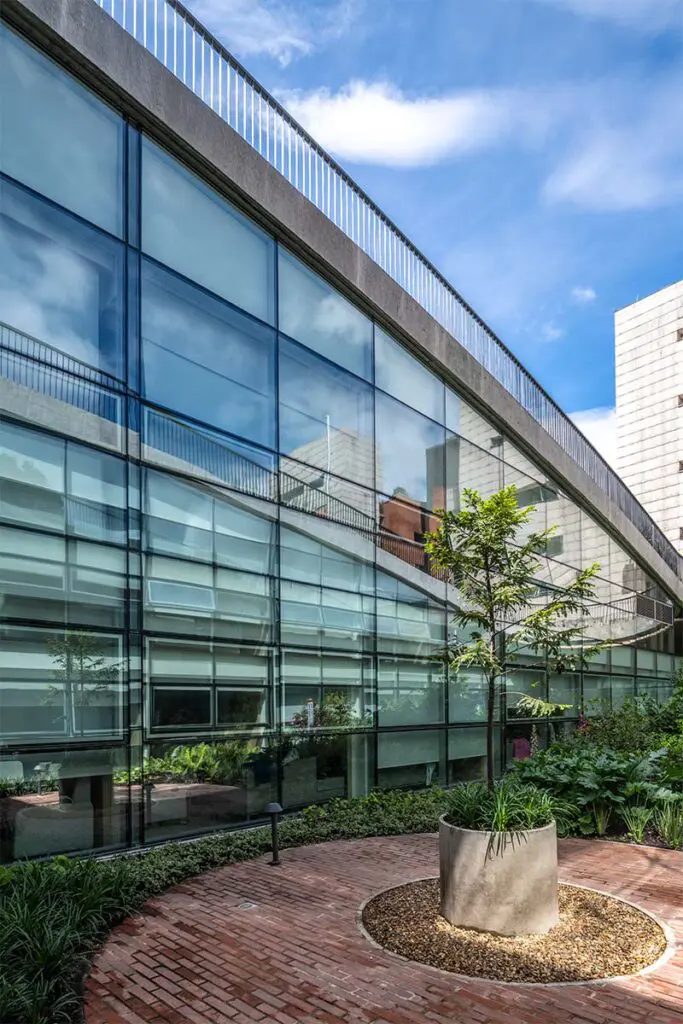 Un parque se eleva y es a la vez una cubierta en la fundación santa fe Un parque se eleva y es a la vez una cubierta en la fundación santa fe