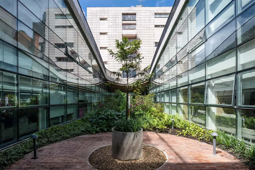 Un parque se eleva y es a la vez una cubierta en la fundación santa fe Un parque se eleva y es a la vez una cubierta en la fundación santa fe